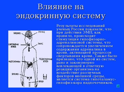 Влияние адреналина на реакцию организма на опасность