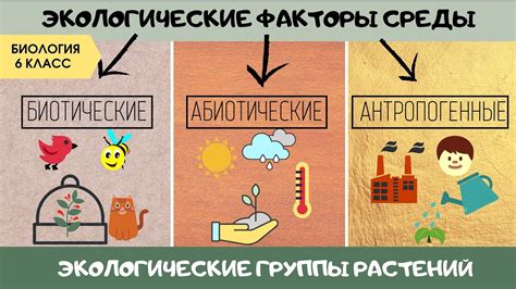 Влияние антропогенной активности на популяцию карминной рыбы