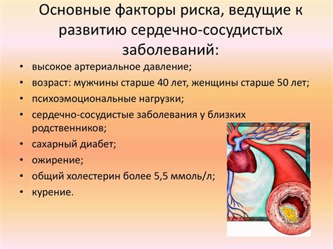 Влияние аспирина на работу сердечно-сосудистой системы