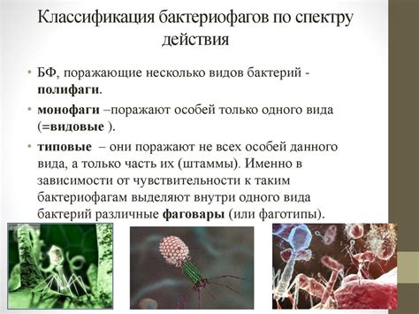Влияние биологических факторов на формирование отношений между представителями разных полов