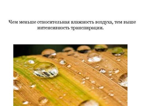 Влияние влажности на процесс светлениЯ
