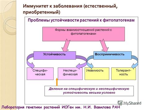 Влияние внешних факторов на наше вдохновение