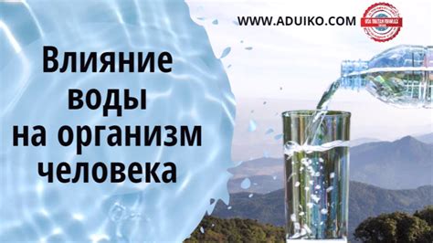 Влияние воды на похмелье