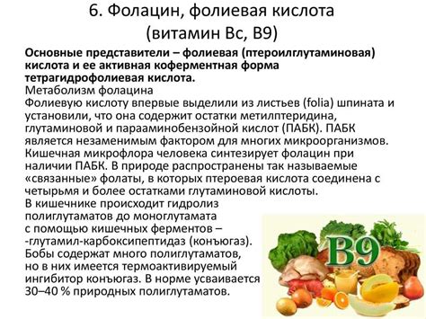 Влияние дорогой фолиевой кислоты