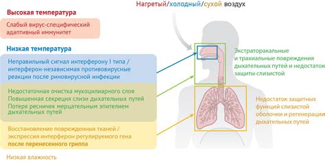 Влияние инфекций на температуру у лиц, страдающих глюкозной патологией