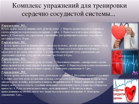 Влияние использования оптических корректирующих средств на работу сердечно-сосудистой системы