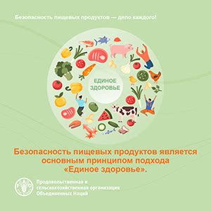 Влияние качества и свежести продуктов на безопасность пищевых установок