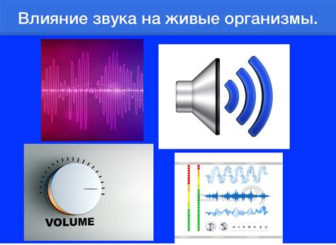 Влияние качества проводов на звуковое воспроизведение