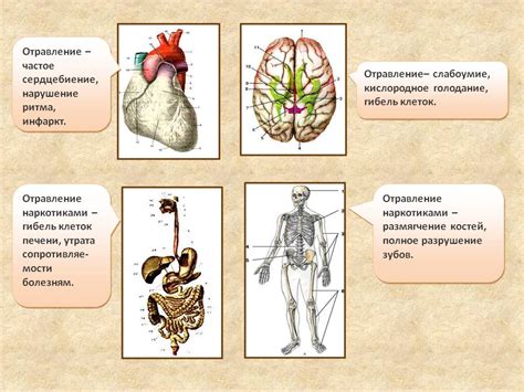 Влияние леводопы на организм