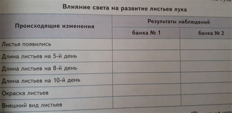 Влияние лука на образ и самовыражение