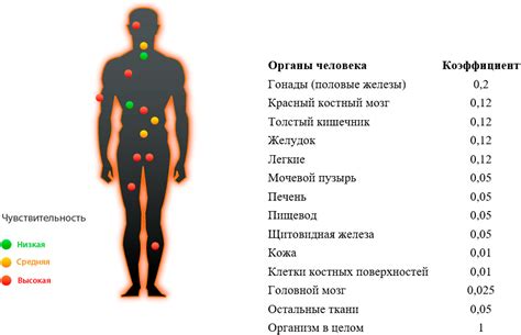 Влияние массажного воздействия на организм после проведения вакцинации