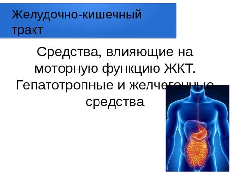 Влияние ментоса и колы на желудочно-кишечный тракт