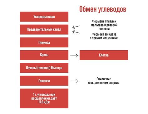 Влияние нарушений обмена веществ