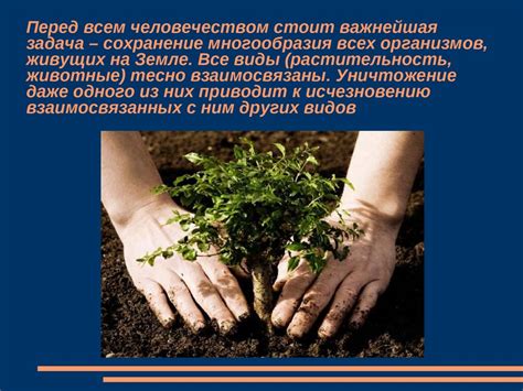Влияние на здоровье растения