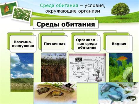 Влияние на привычную среду обитания