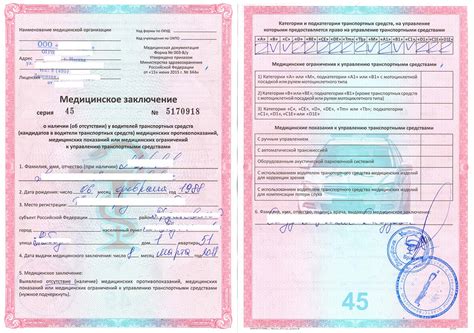 Влияние на процесс получения водительских прав: когда и как осуществляется выдача документа