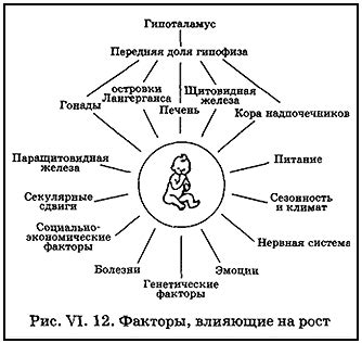 Влияние на рост и развитие