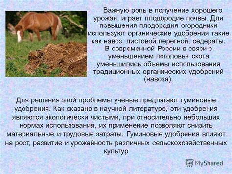 Влияние обработки почвы медным сульфатом на получение урожая и защиту растений от заболеваний