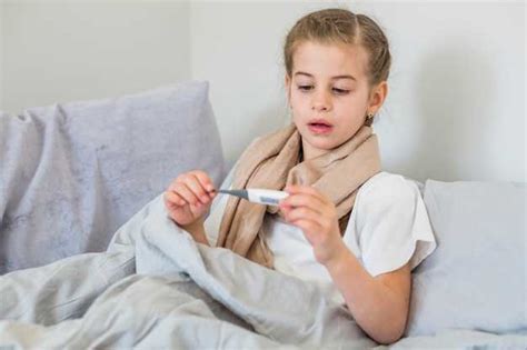 Влияние окружающей среды на температурный режим кошки