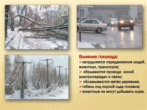 Влияние осенних условий на процесс белильных работ