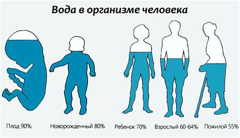 Влияние осушающего чая на уровень жидкости в организме