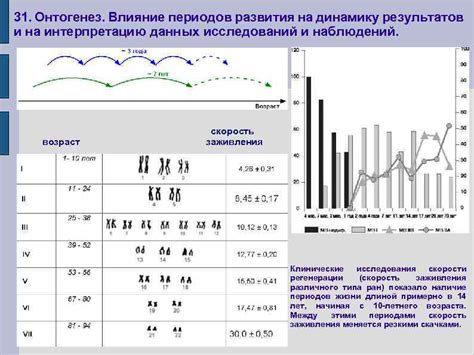 Влияние первого столбца на интерпретацию данных