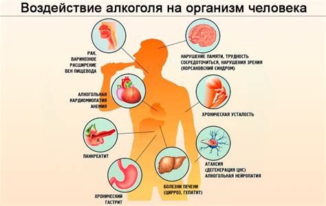 Влияние переноса вшей от собаки на организм человека и возможные последствия