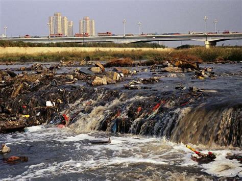 Влияние плохого стока воды на окружающую среду