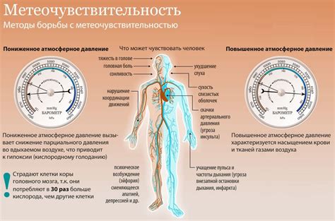 Влияние повышенного давления в капиллярах на организм