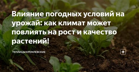 Влияние подковы на урожай