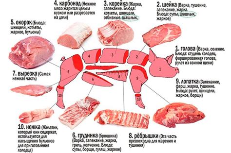 Влияние продолжительности маринования на структуру мяса