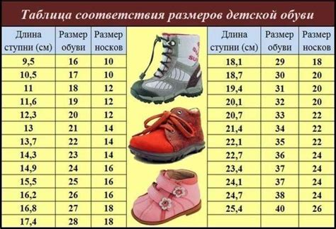Влияние размера подошвы на удобство и функциональность обуви