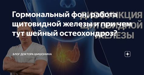 Влияние сезонов на функцию щитовидной железы: как меняется гормональный фон