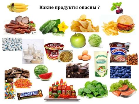Влияние состава и способа приготовления на полезные и вредные свойства горячих клецок