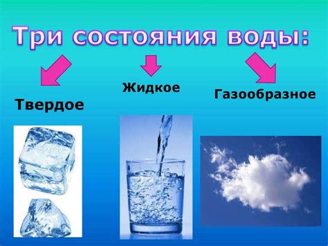Влияние состояния воды на питательные качества драгоценного продукта натуры