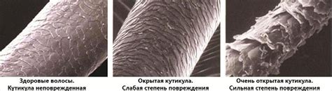 Влияние состояния волос на эффективность химических процедур