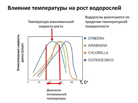 Влияние температуры на работу заслонки