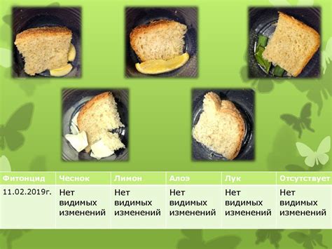 Влияние температуры на свежесть и сохранность продуктов