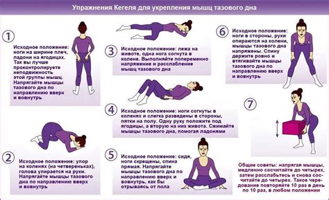 Влияние упражнений на восстановление мышц тазового дна после рода
