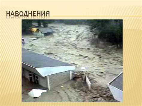 Влияние условий содержания на проявление хищной природы у волка