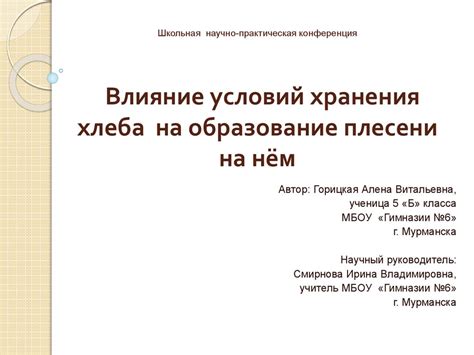 Влияние условий хранения на качество сидра