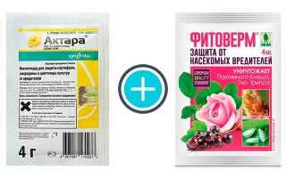 Влияние фитоверма и фитоспорина