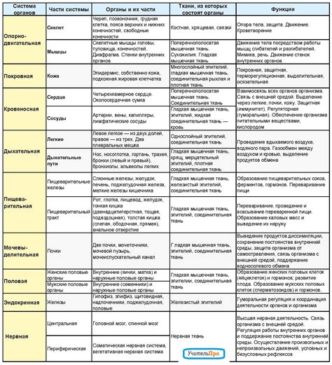 Влияние функций органов