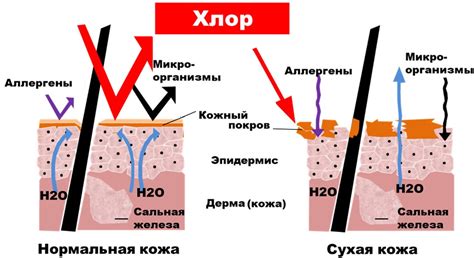 Влияние хлорированной воды на функционирование электронной системы в Эппл Вотч