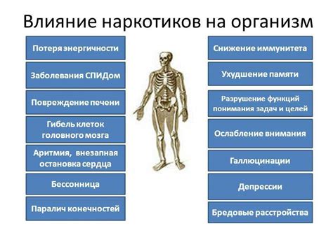 Влияние хны на организм
