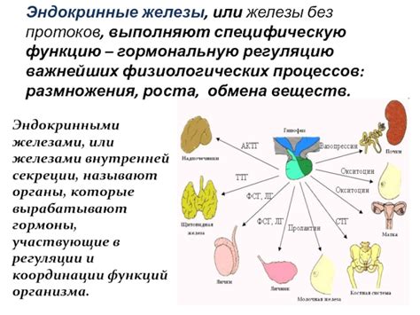 Влияние целей на регуляцию физиологических процессов