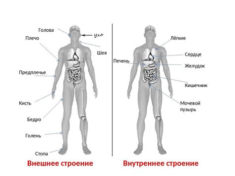 Внутренние части изношены
