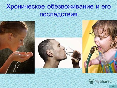 Вода как основной компонент организма