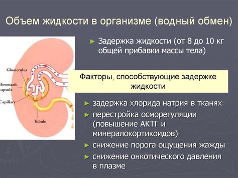 Водный обмен в организме