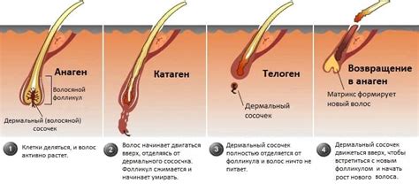 Воздействие, приводящее к повреждению структуры волосяного фолликула